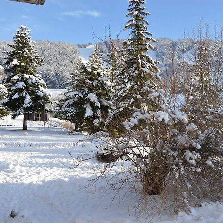 Villard De Lans Exteriör bild