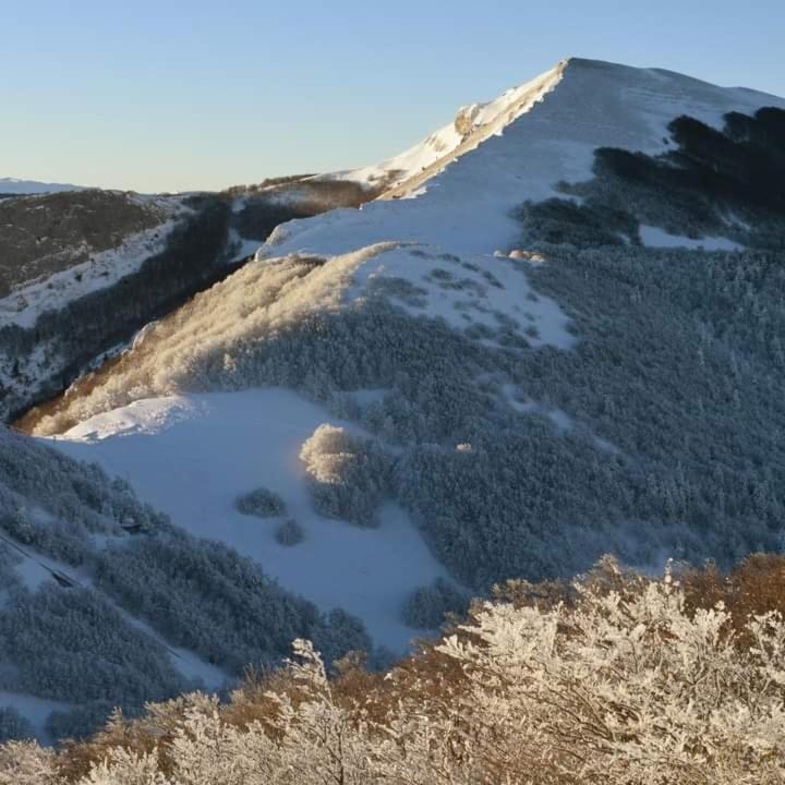 Villard De Lans Exteriör bild