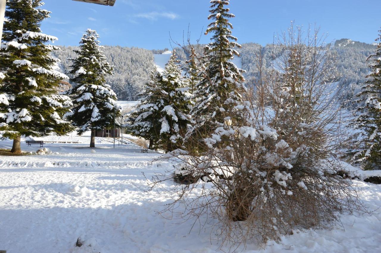 Villard De Lans Exteriör bild